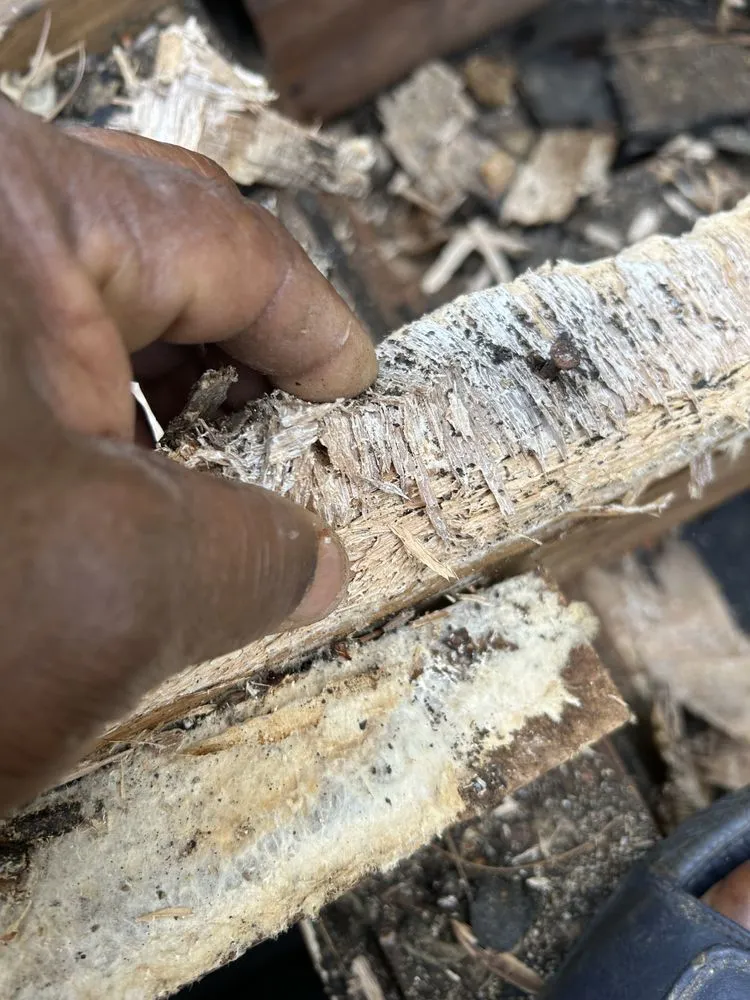 Slide of A R Allen Services