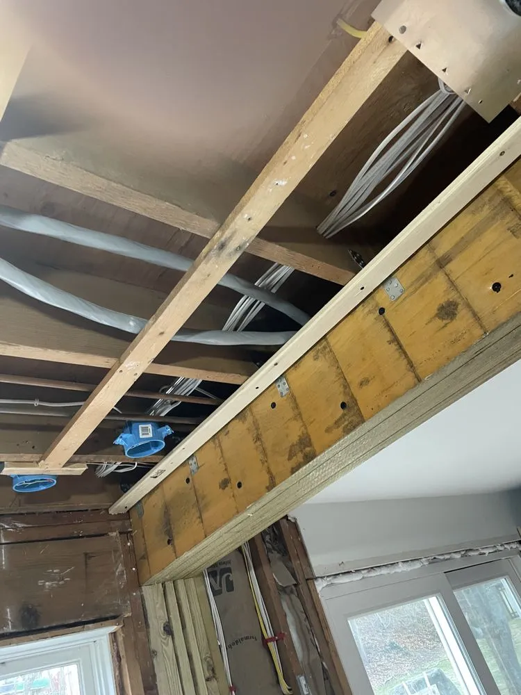 Slide of A Salvato Electric