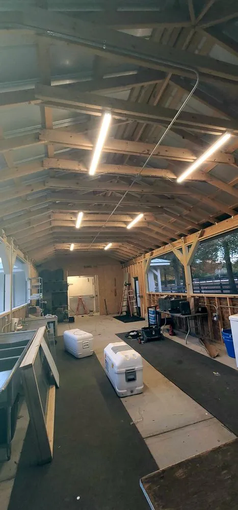 Slide of A Speedlight Electrical S