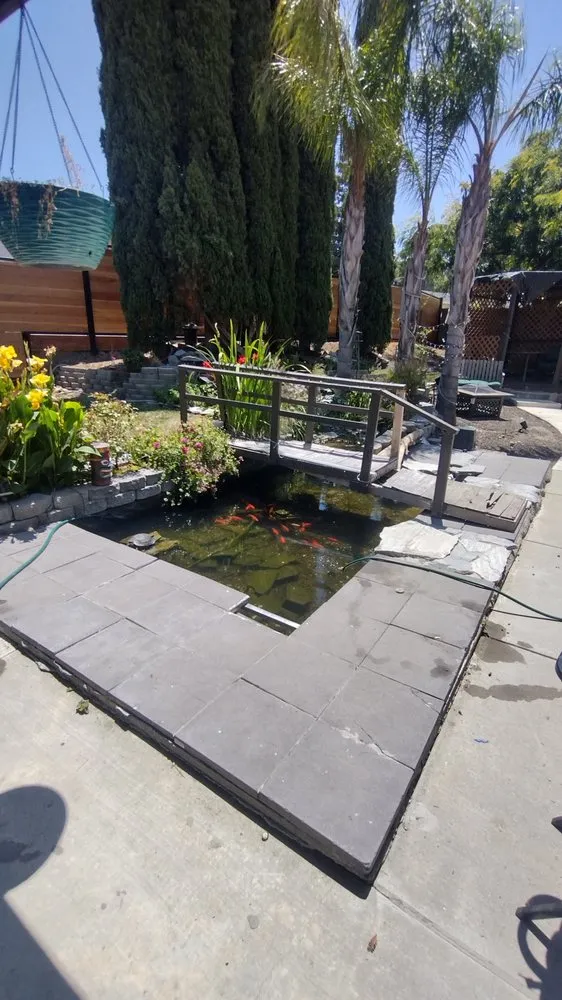 Slide of A Step Ahead