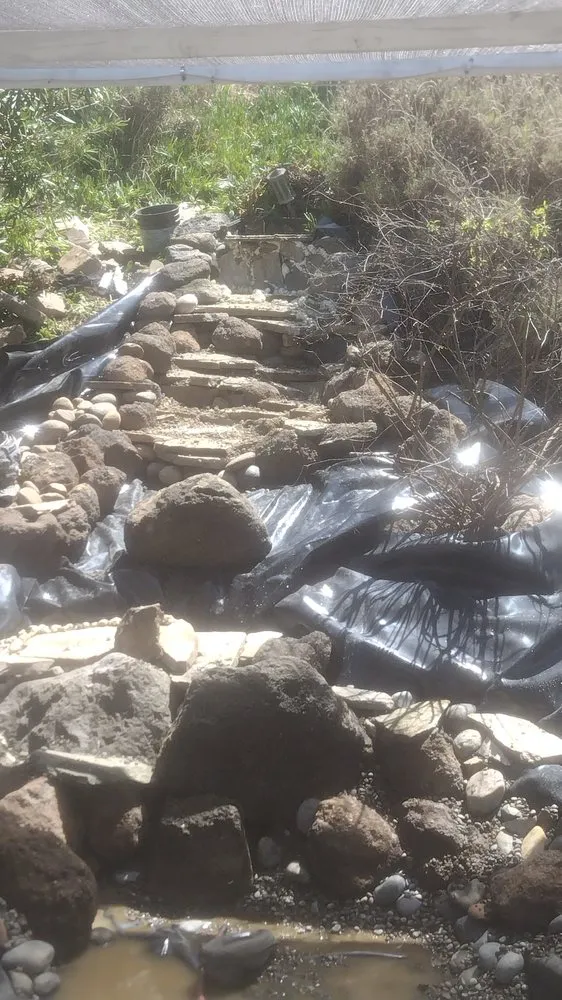 Slide of A Step Ahead