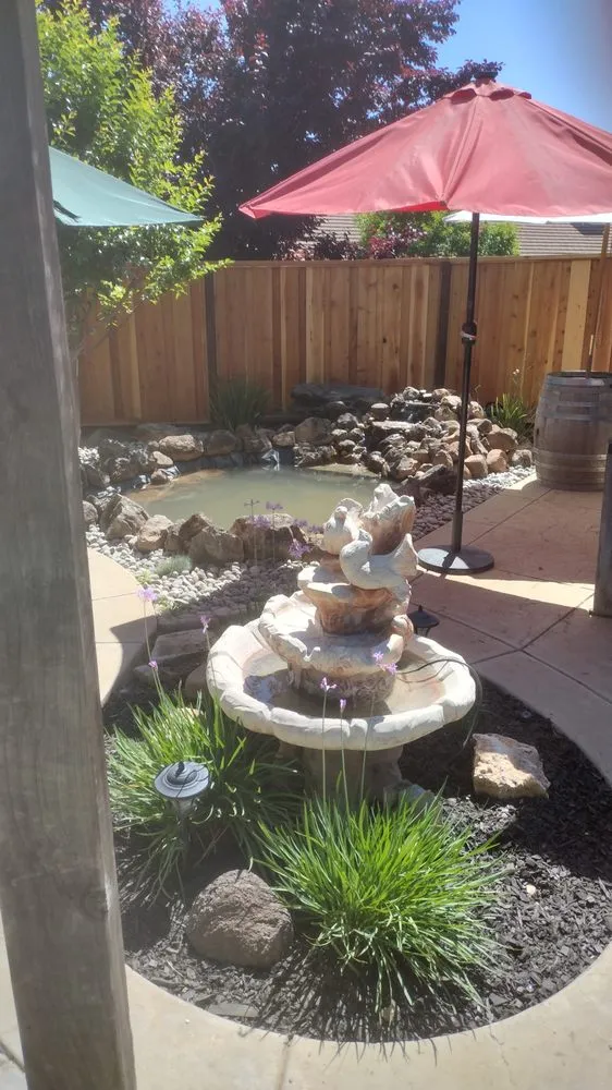 Slide of A Step Ahead