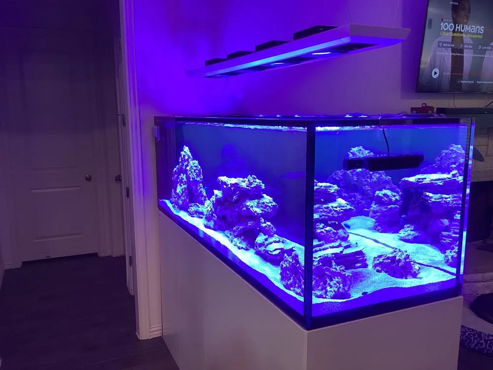 Affordable electrician providing lighting installation in , 