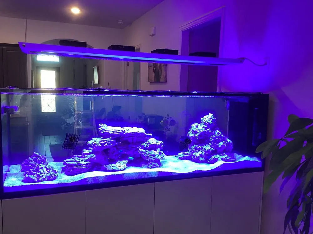 Reliable electrical service for homes in wiring installation,  by 