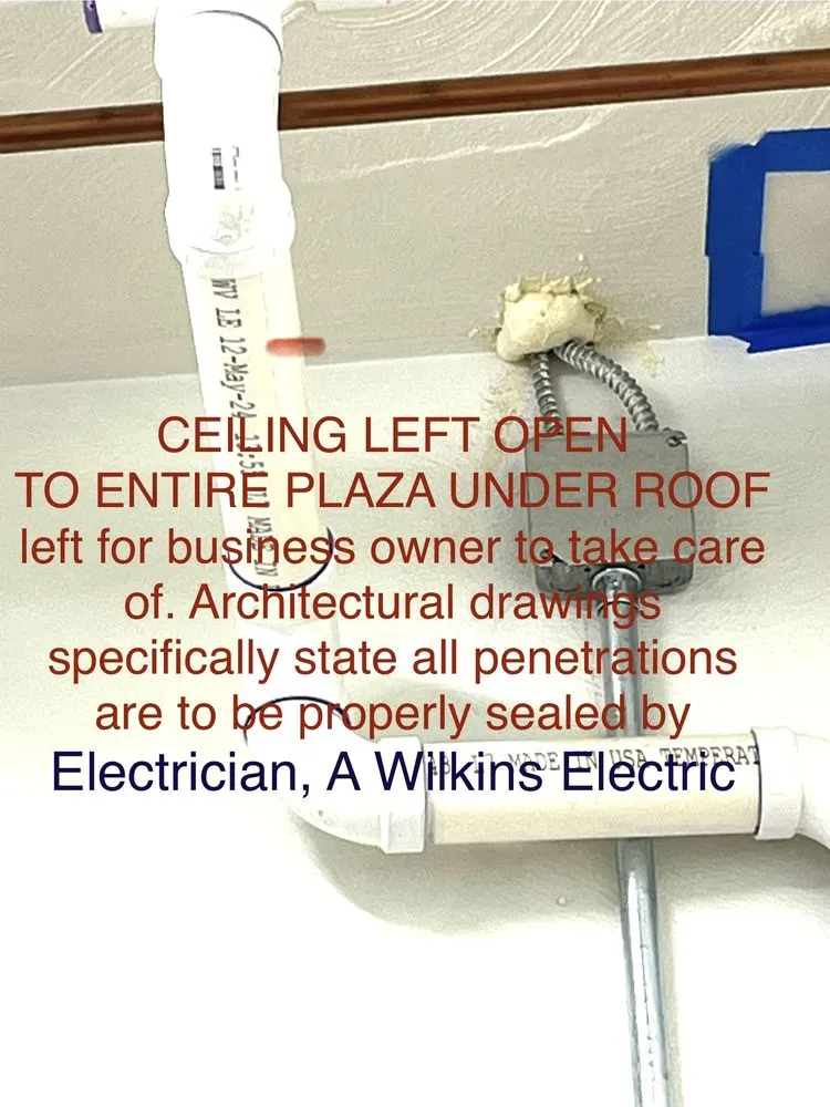 Slide of A Wilkins Electric