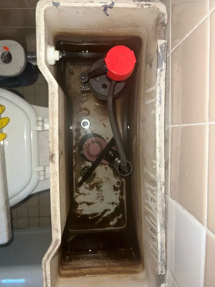 Slide of A1 Construction