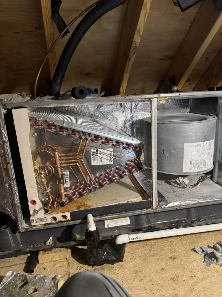 Certified panel upgrade in Bayboro, NC by A1 Custom HVAC and Home Solutions