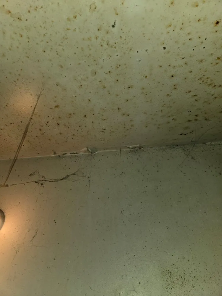 Slide of A1 Home Repair