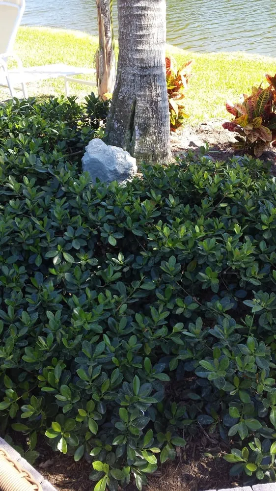 Slide of A1A Technologies