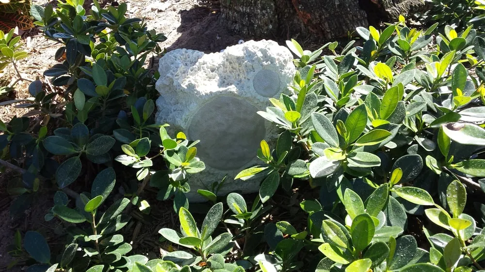 Slide of A1A Technologies