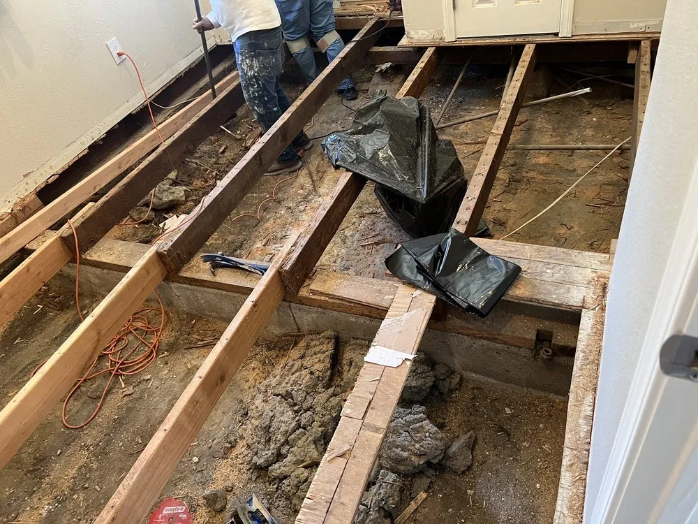 Slide of A2B Quality Painting