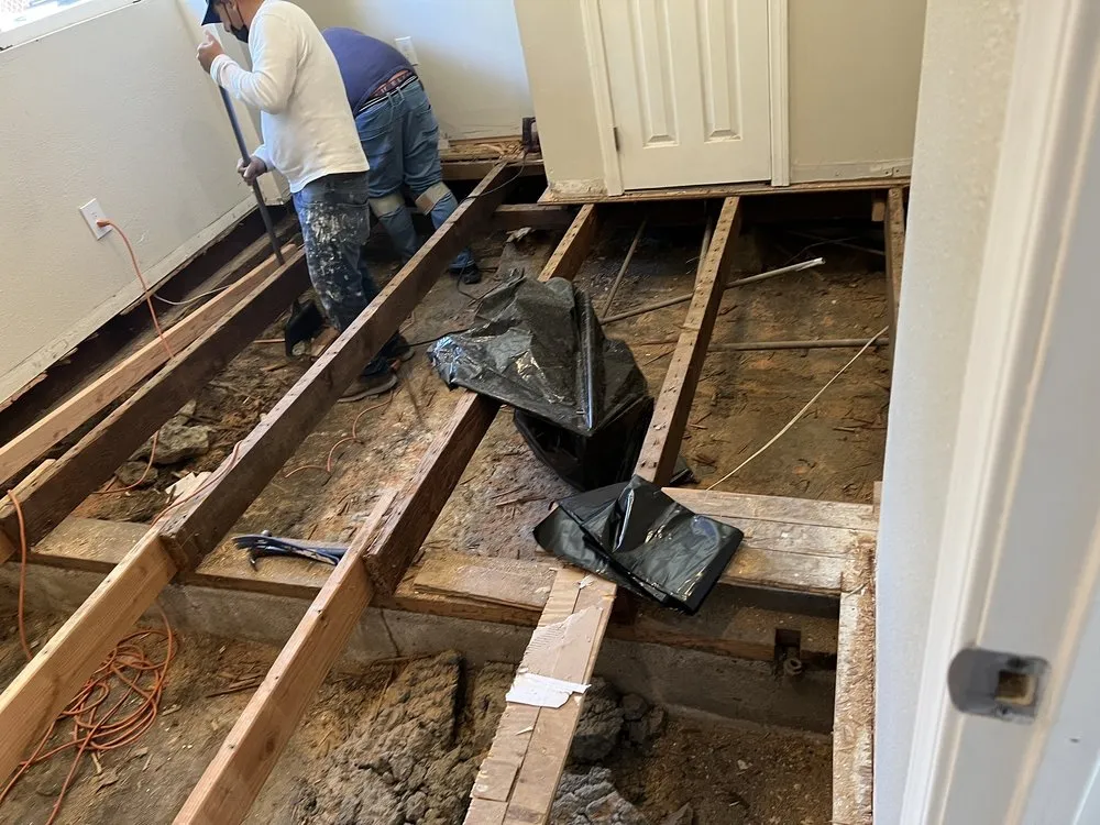 Slide of A2B Quality Painting