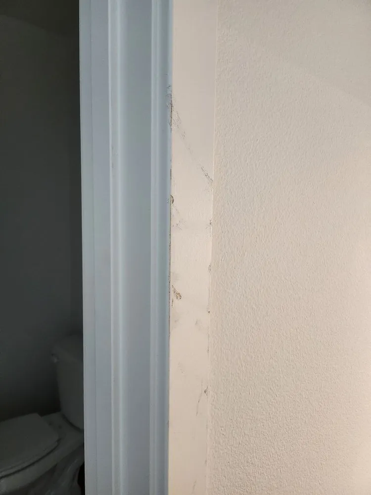 Slide of A2B Quality Painting