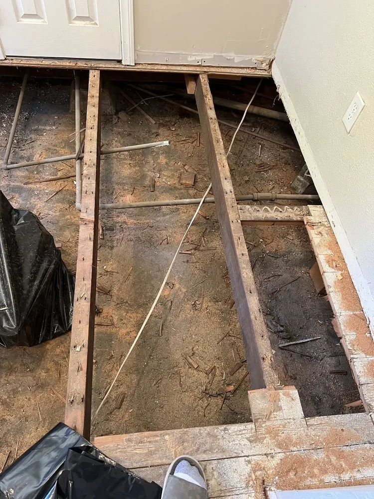 Slide of A2B Quality Painting