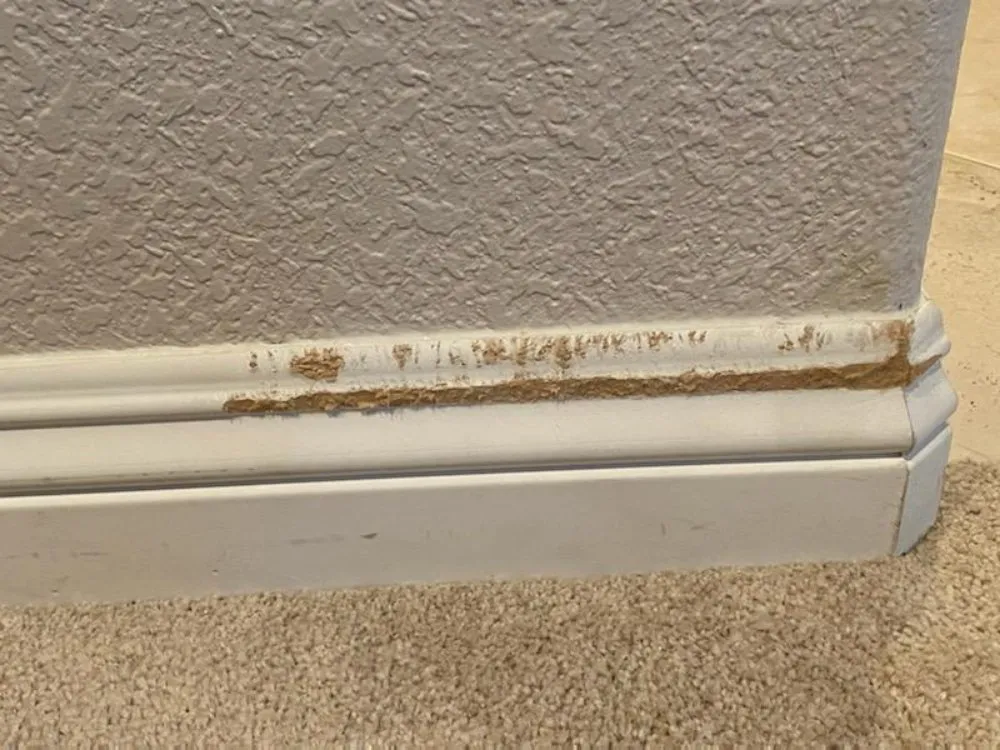 Slide of A&A Services