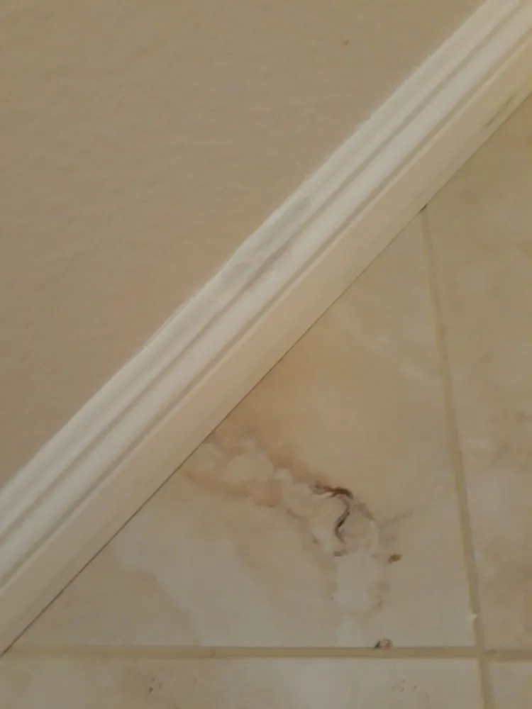 Slide of A&A Services