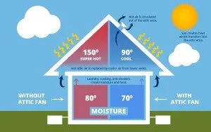 Slide of AAA Bishop Electric