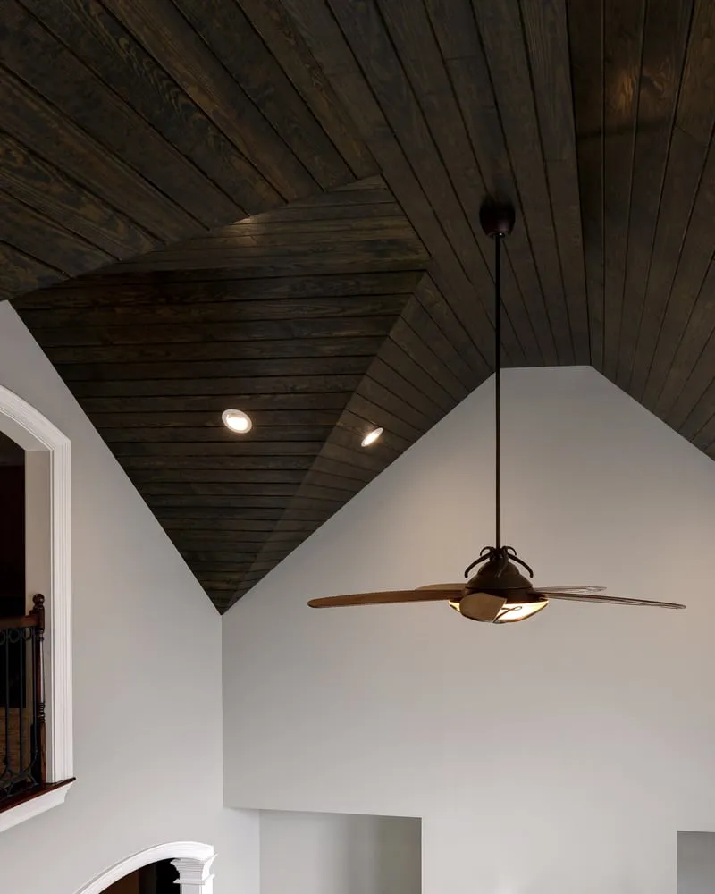 Slide of Aardvark Electric