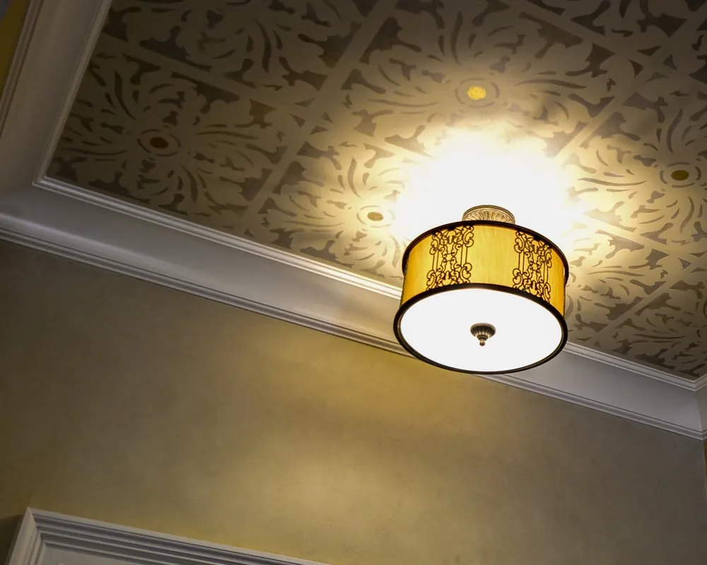 Slide of Aardvark Electric