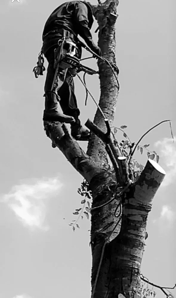 Slide of ABC Home & Commercial Services