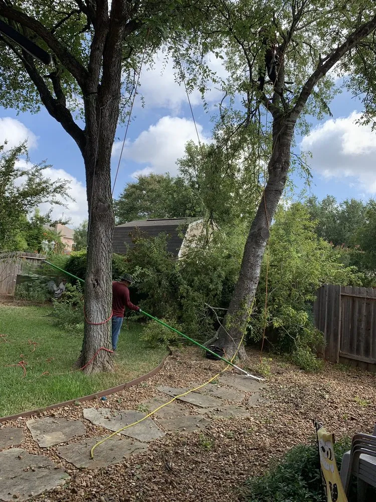 Reliable lighting installation experts serving ,  - ABC Home & Commercial Services