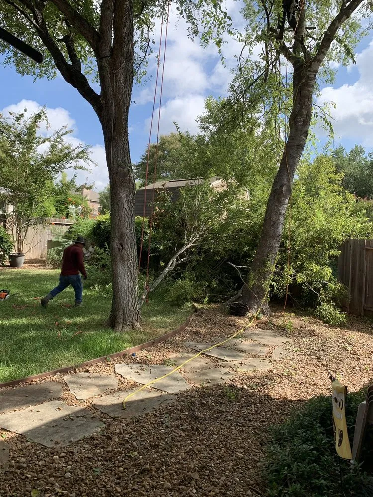 Emergency lighting installation in ,  by ABC Home & Commercial Services
