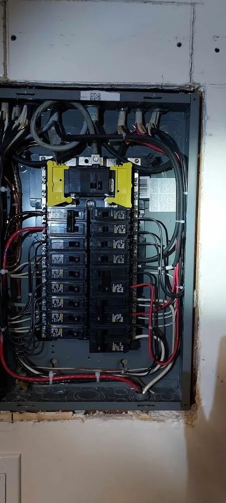 Slide of Abinesh's Electric