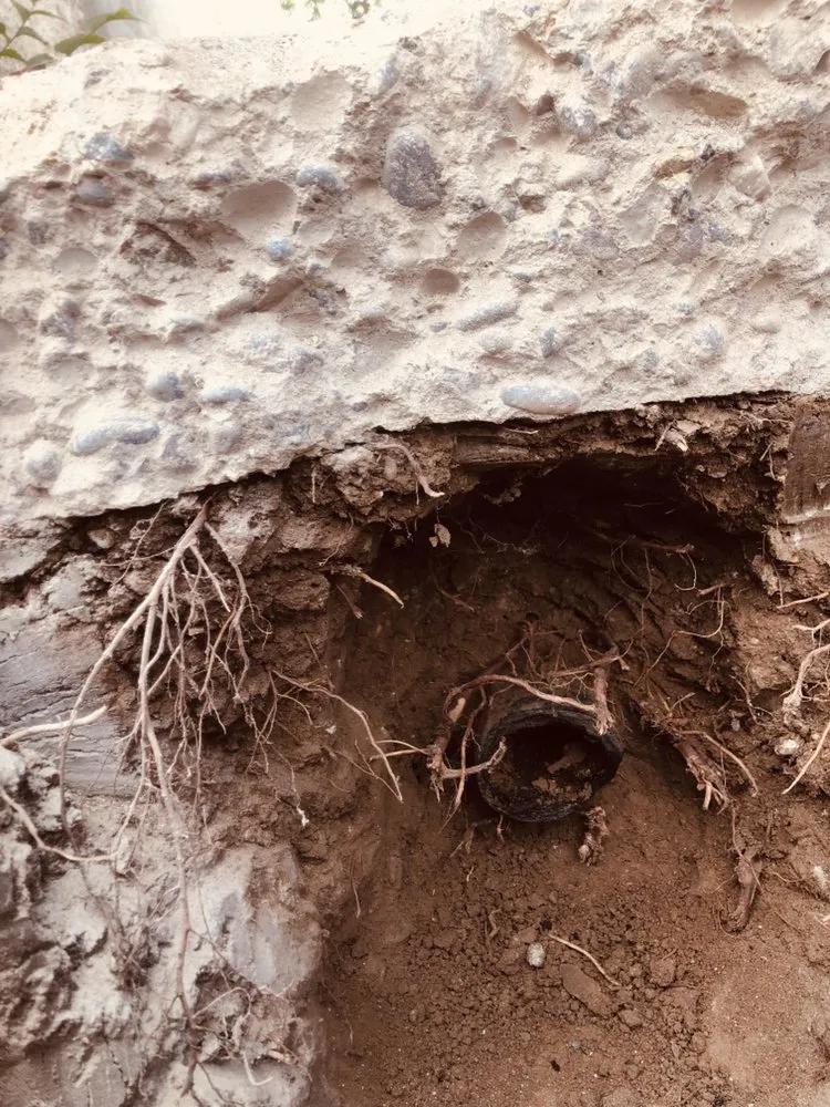 Slide of Above All Quality