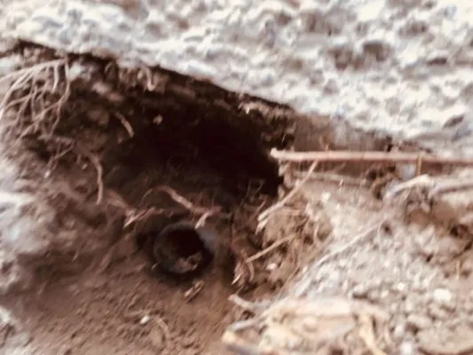 Above All Quality Logo