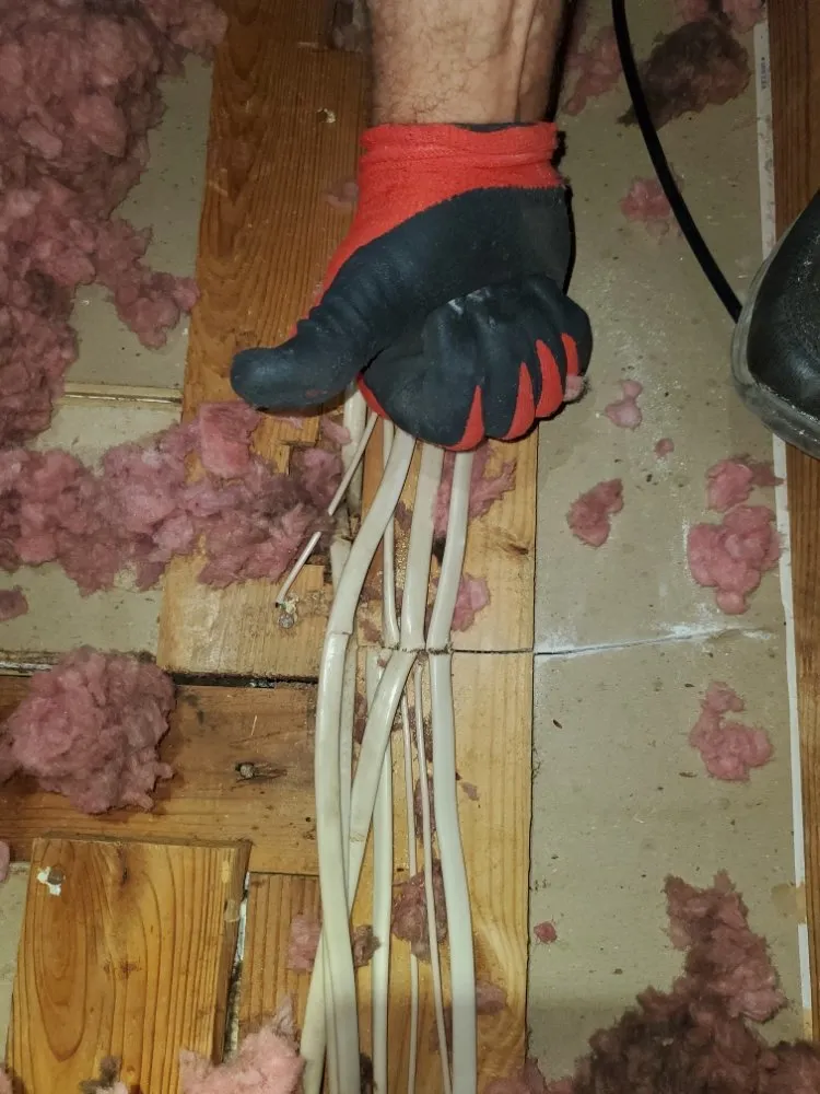 Slide of Above Only Electric