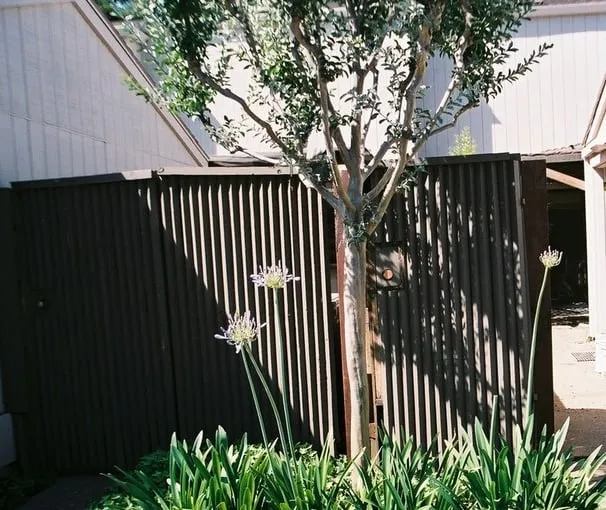 Slide of Abreu Enterprises