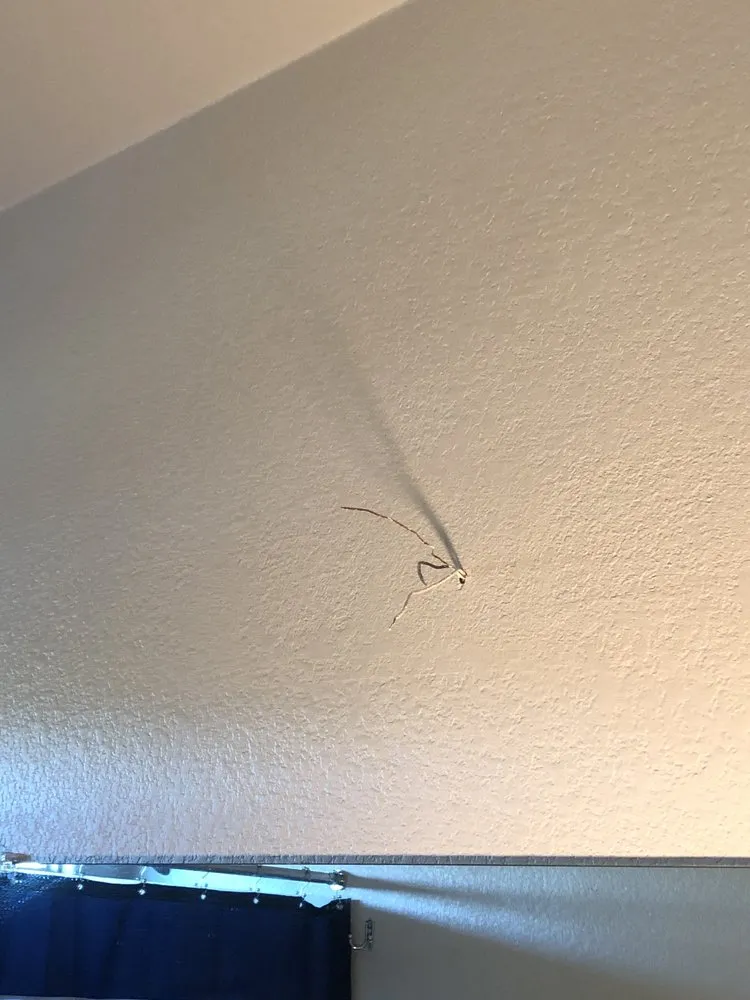 Slide of Absolute Electric