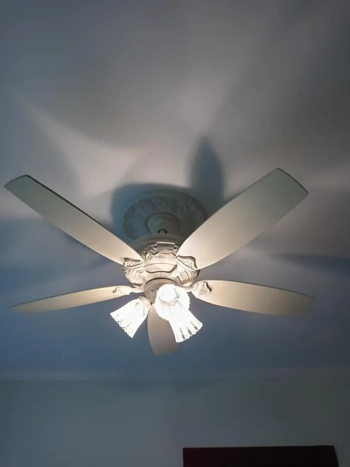 Slide of Absolute Electric of TN