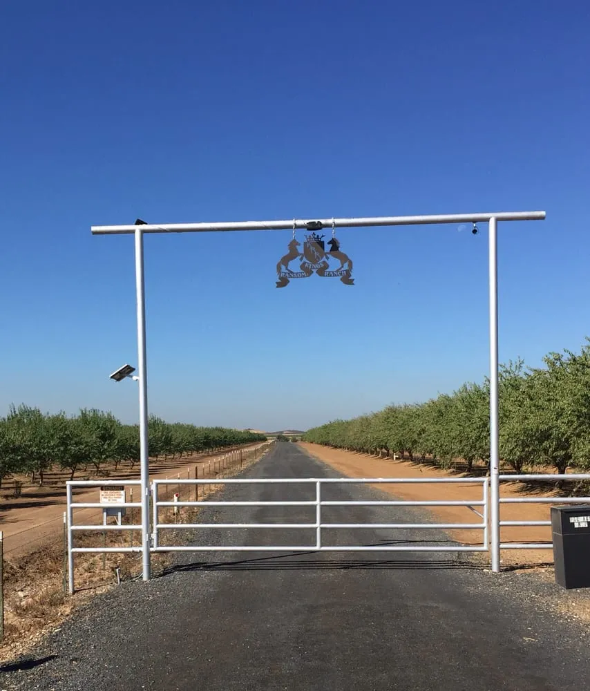 Slide of Absolute Electric