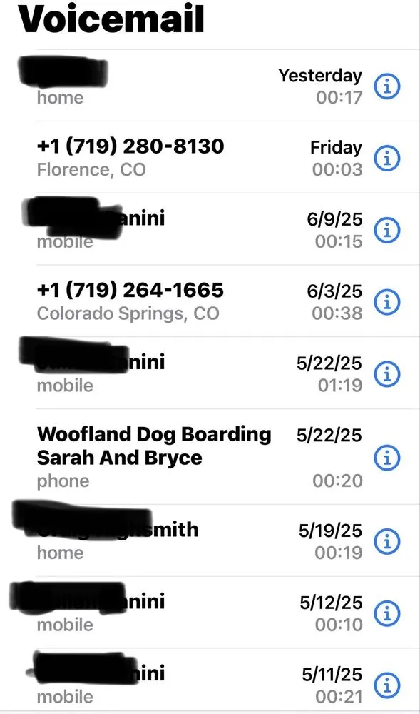 Emergency electrician providing panel upgrade in , 