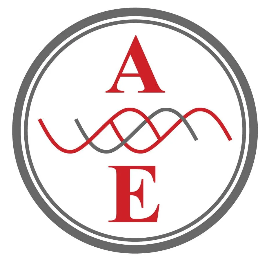 Slide of Absolute Electrical