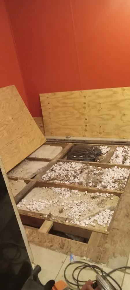 Professional electrical service for homes in wiring installation,  by 