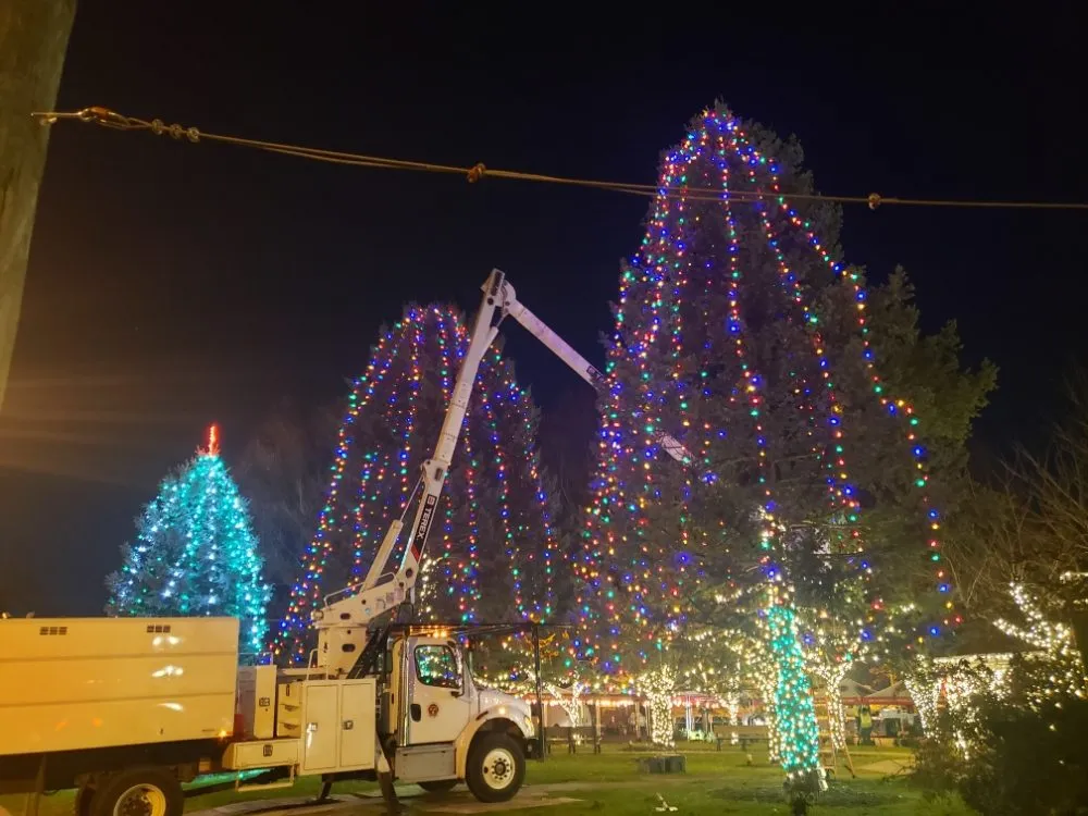 Slide of Accent Electric