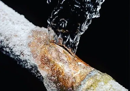 Slide of Access Services Group