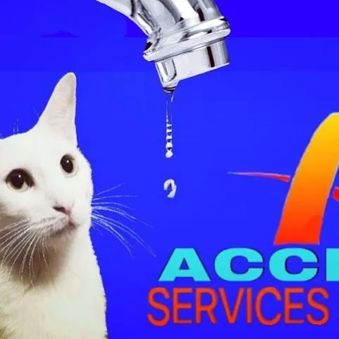 Affordable electrical service for homes in panel upgrade,  by 