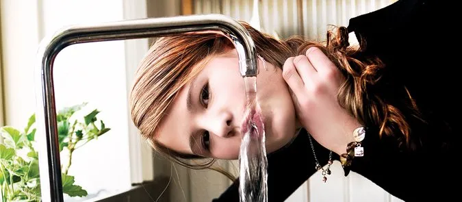 Slide of Access Services Group