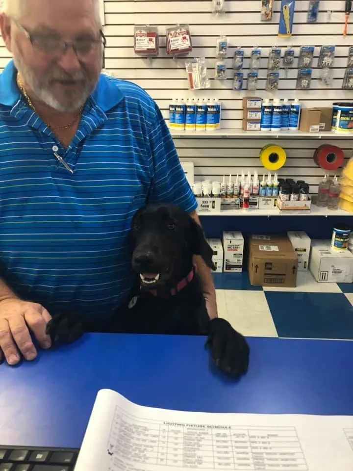 Slide of Ace Electric