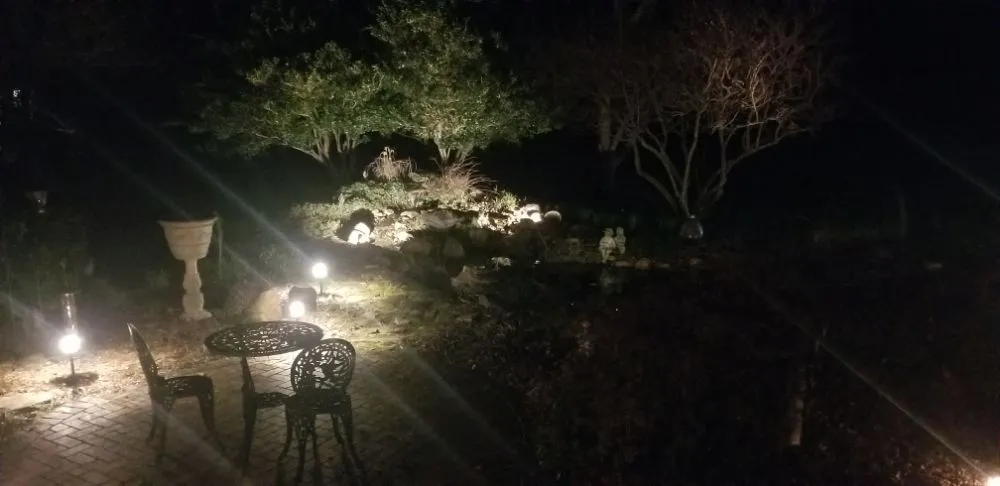 Slide of ACE Service