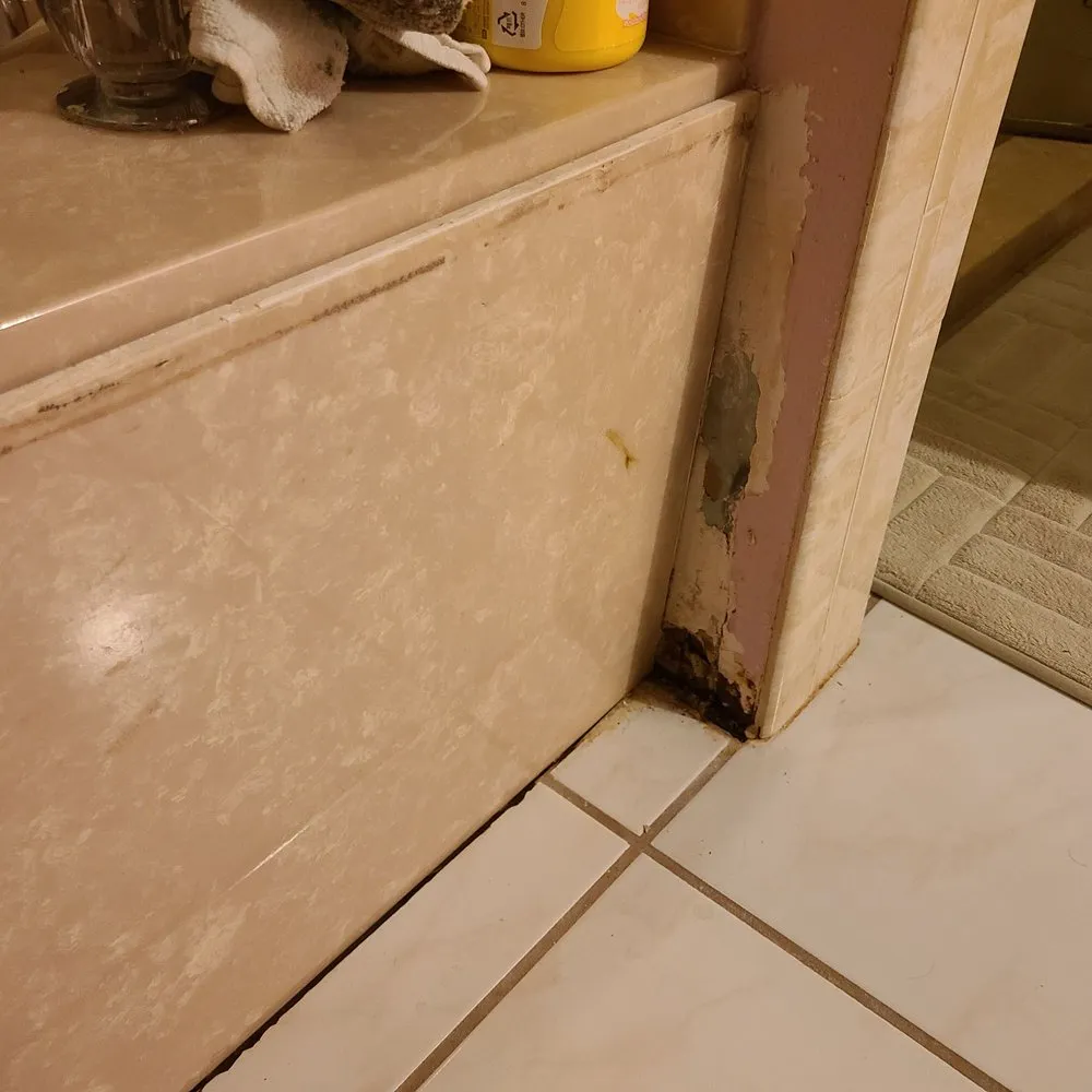 Slide of Ace Solves It All