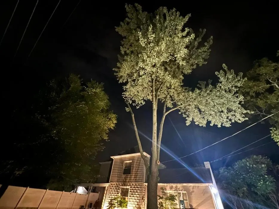 Slide of ACM Electric