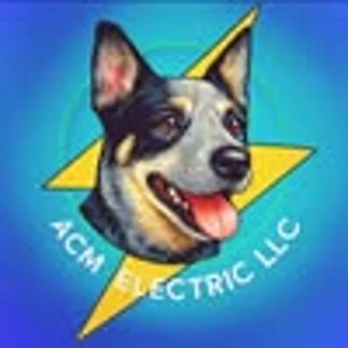 Slide of ACM Electric