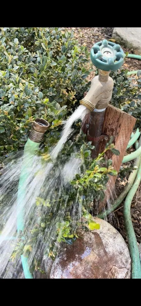 Slide of Acme Detection