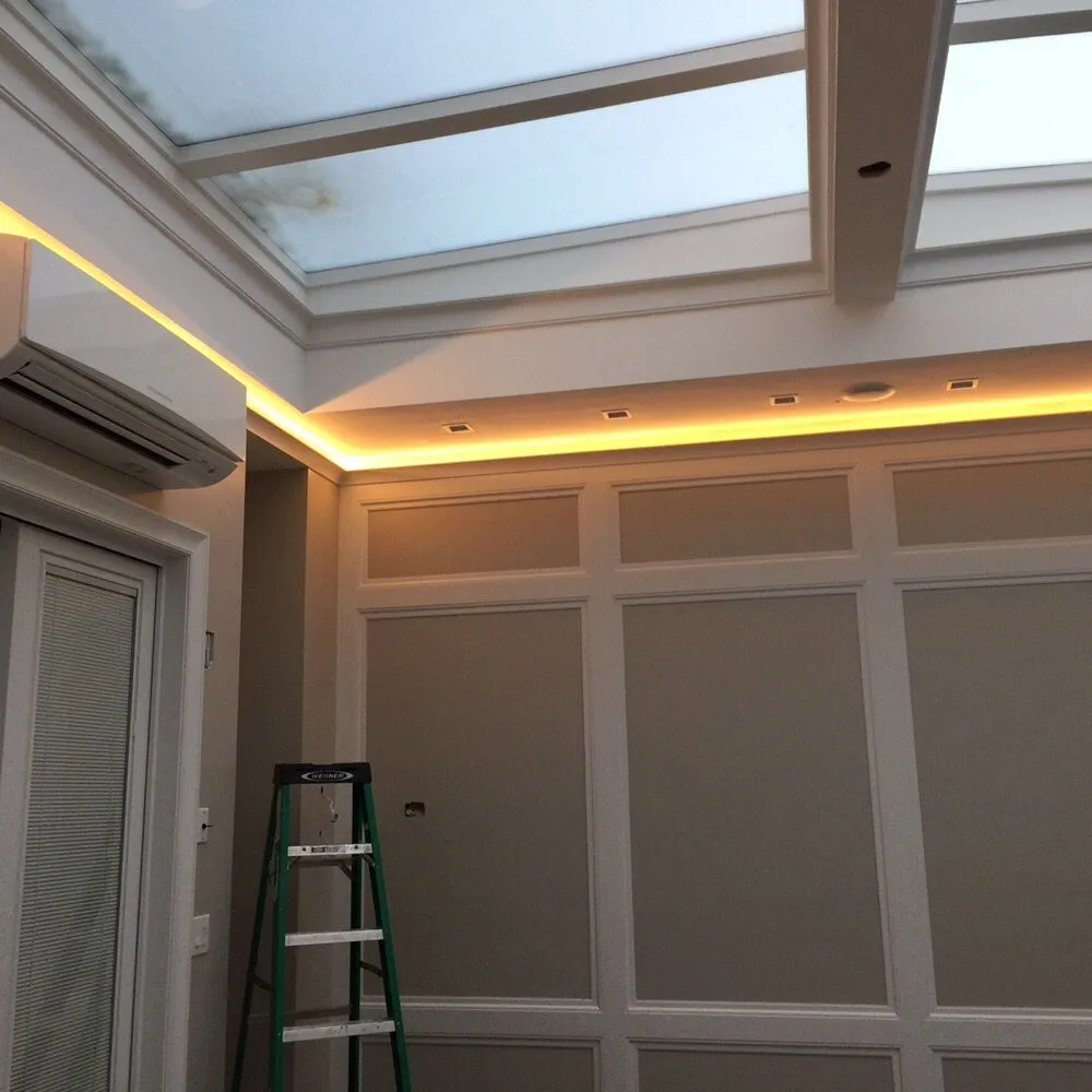 Slide of ACN Electric