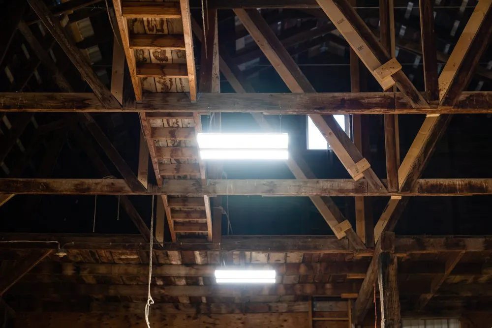 Slide of Action Electric