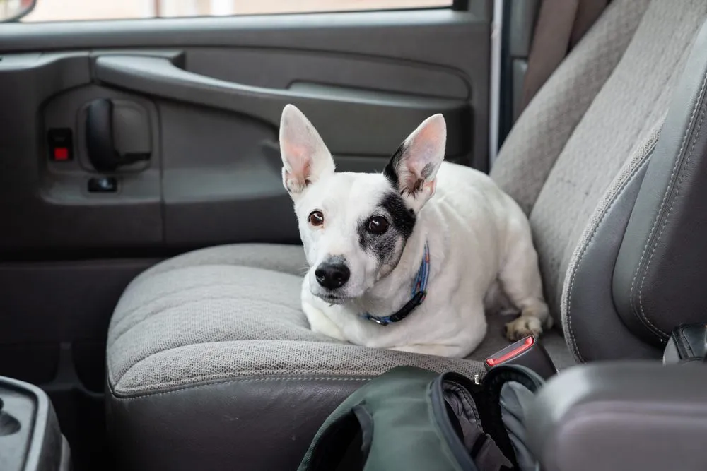 Slide of Action Electric